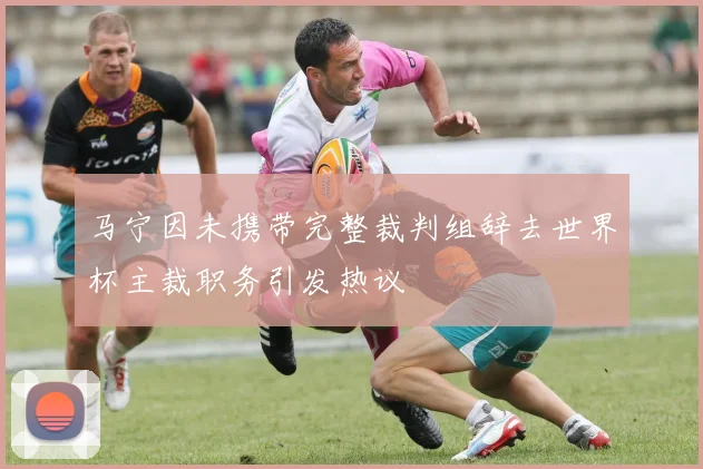 马宁因未携带完整裁判组辞去世界杯主裁职务引发热议